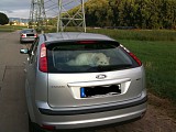 Wie transportiere ich meinen Hund im Auto?