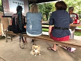 Workshop Kommunikation Mensch - Hund: Der Rückblick